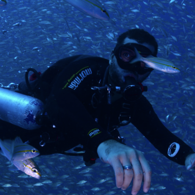 IANTD Sidemount Diver (Entrenamiento en Aguas Confinadas)