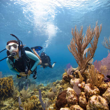 Open Water Diver - Buceos de Certificación en Aguas Abiertas