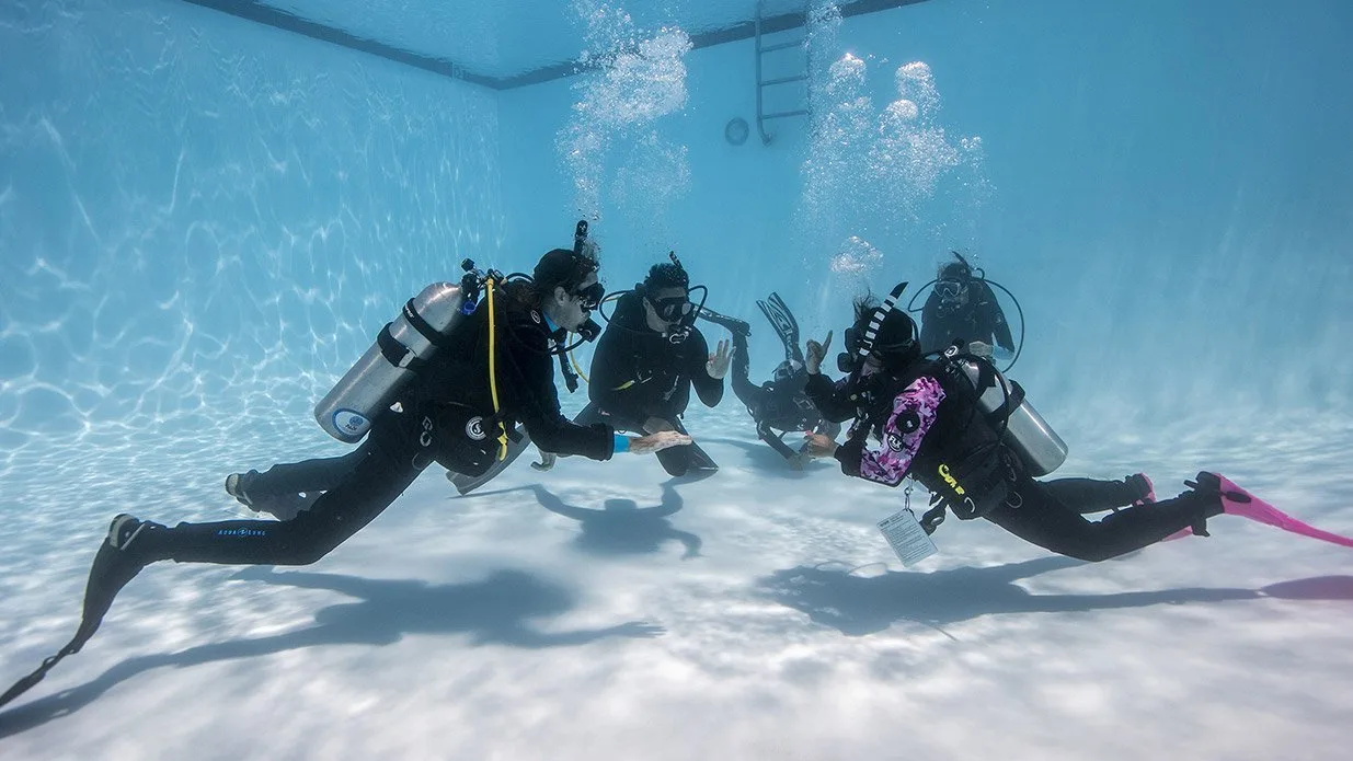PADI ReActivate - Imagen 2