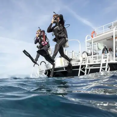 PADI ReActivate
