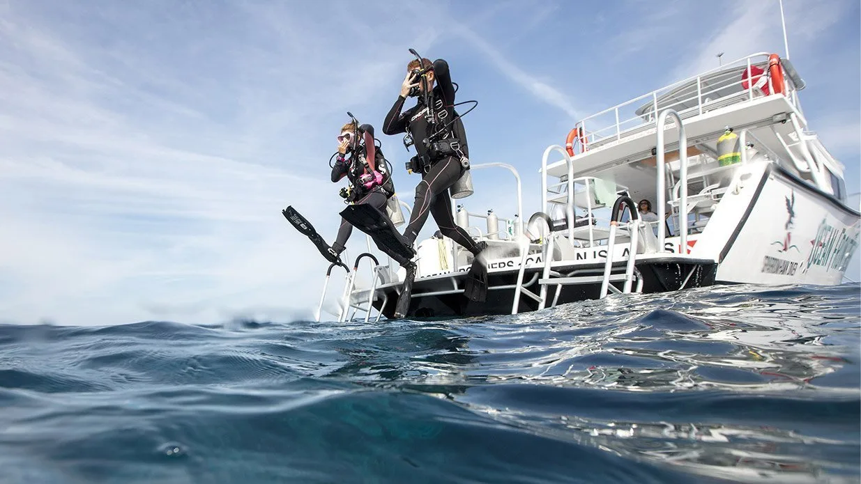 PADI ReActivate
