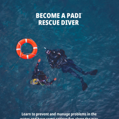 Certificación PADI Rescue Diver - 24 y 25 Octubre 2026